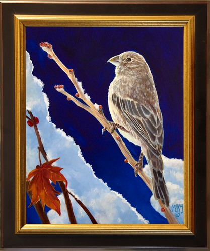 Click to view detail for House Finch on Snowy Maple 10x8 $500